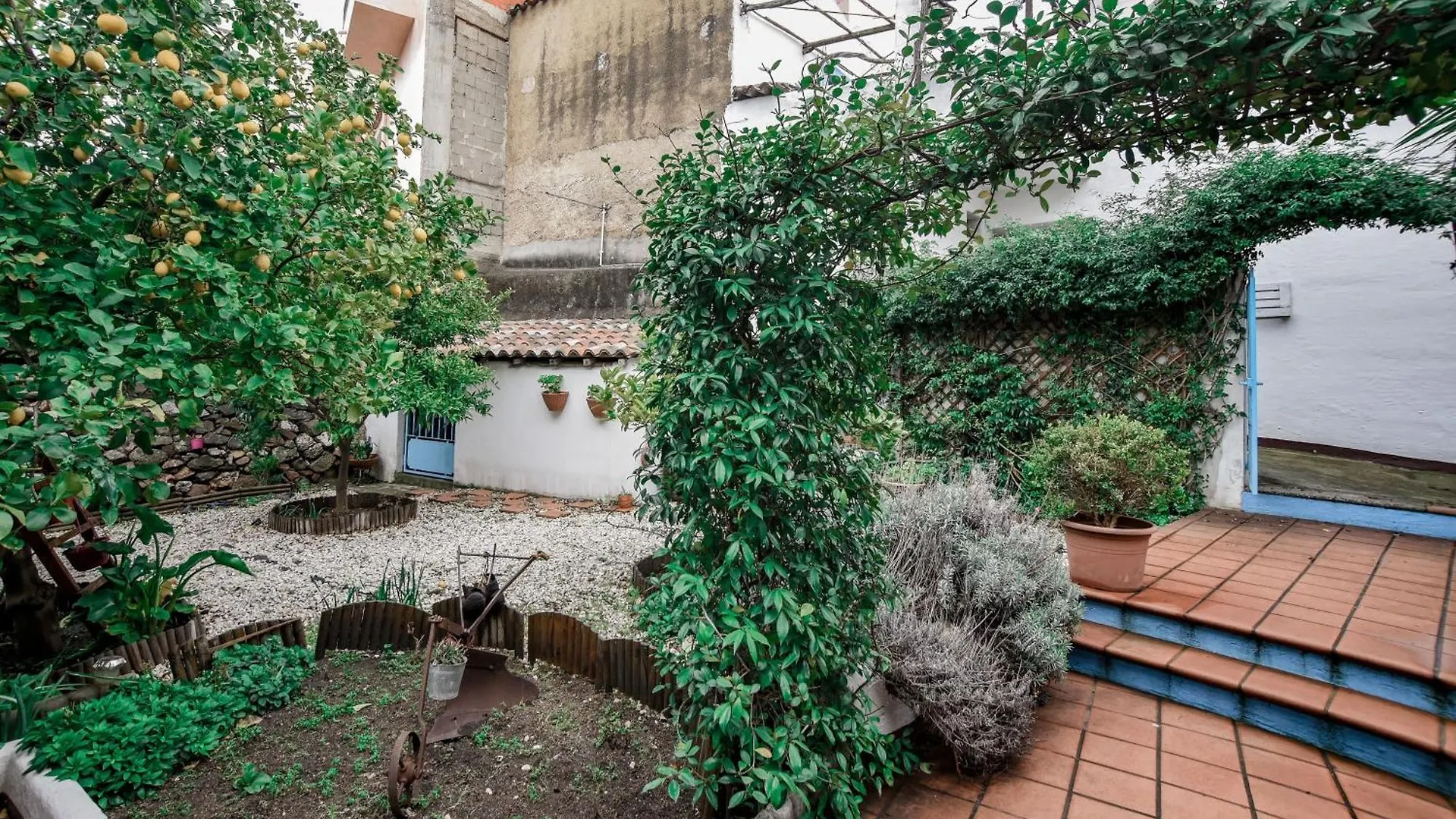 Giardino Dei Limoni Rooms Oliena Homestay